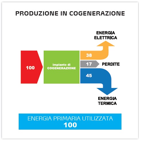 coge1 coge1